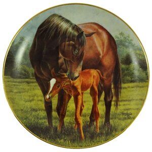 The First 1st Day Fred Stone Decorative Plate Mare and Foal Colt Mom Baby Horse